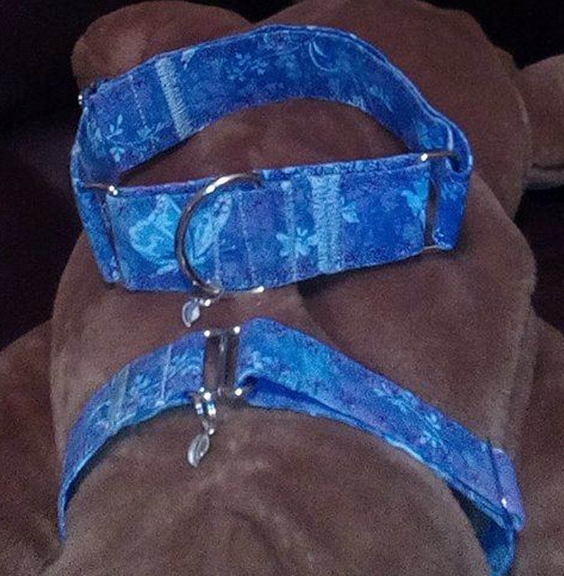K&ouml;nnte beinhalten: Zwei blaue Hundehalsb&auml;nder mit einem Schmetterlingsmuster. Die Halsb&auml;nder sind aus Stoff und haben silberne Metallbeschl&auml;ge.