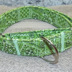 F98~New~Lime Green Paisley~1" & 1 1/2" Collars~Standard~Martingale~Tag Collar~Matching Set~Any Size~Machine Wash~Metal Hardware~