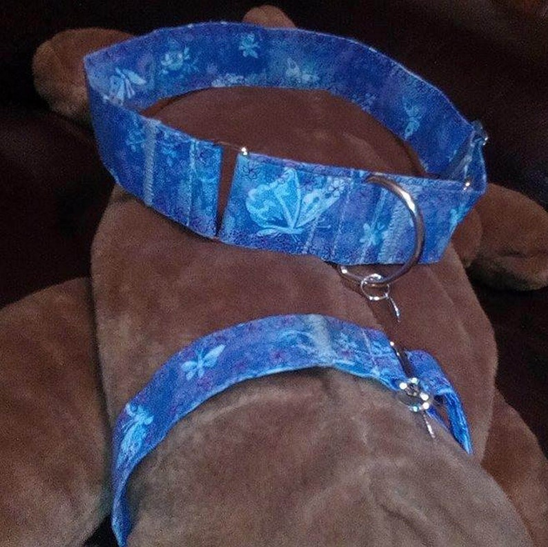 K&ouml;nnte beinhalten: Ein blaues und wei&szlig;es Hundehalsband mit einem silbernen D-Ring. Das Halsband ist aus Stoff und hat ein Schmetterlingsmuster.