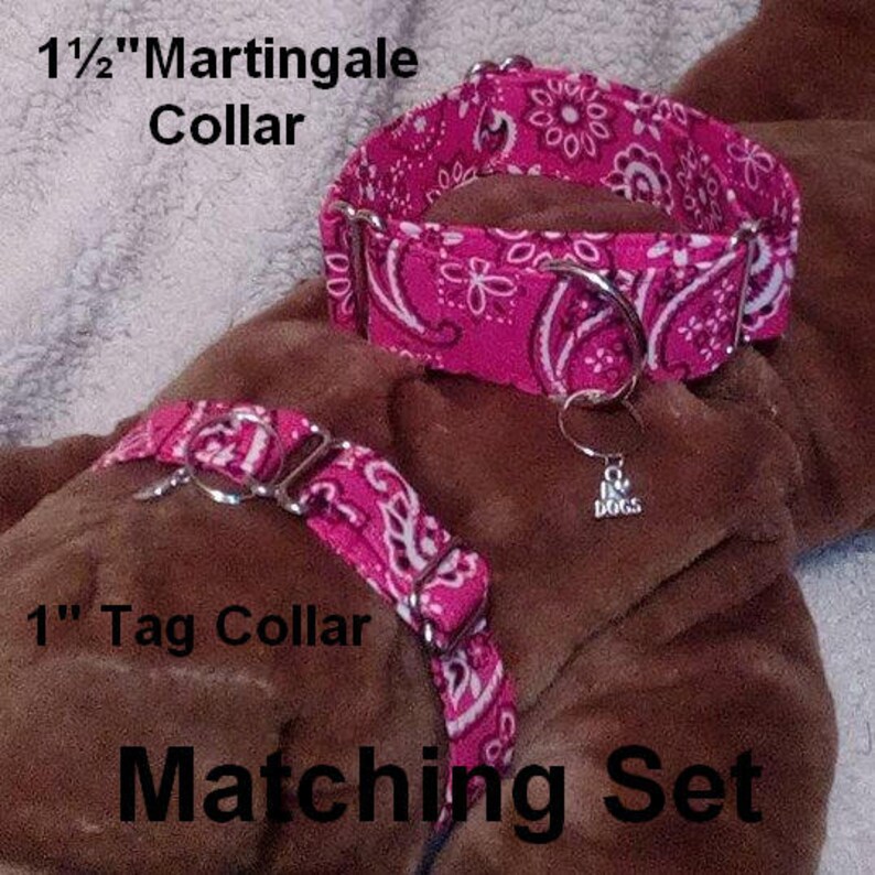 May include: A matching set of pink dog collars with a paisley pattern. The larger collar is a 1 1/2 inch martingale collar and the smaller collar is a 1 inch tag collar. Both collars have silver hardware and a silver charm that says "I Love Dogs".