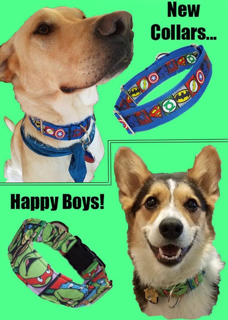 PW03~1" Mountain Viper Camo~Printed Polyester Webbing~1" Standard~Martingale~Tag Collars~1" Matching Set~Metal Hardware~Plastic Clasp~ image 6