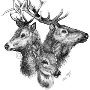 Deer - Printable Download - Two Sizes