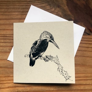 Eisvogel Grußkarte