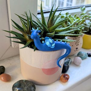 Può includere: Una statuina di drago blu con accenti azzurri poggia su un vaso di ceramica bianco e rosa maculato contenente una pianta succulenta. Il drago ha una coda ricurva e piccole corna. Varie pietre lucide sono sparse intorno al vaso.