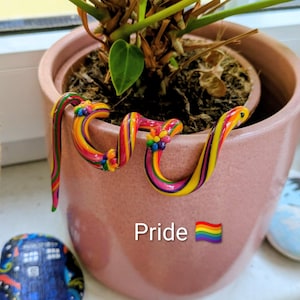 Può includere: Decorazione a forma di serpente a strisce arcobaleno con la parola "Pride" e un'emoji della bandiera arcobaleno. La decorazione è posizionata vicino a una pianta in vaso. È visibile anche un sasso dipinto con un disegno blu e bianco.