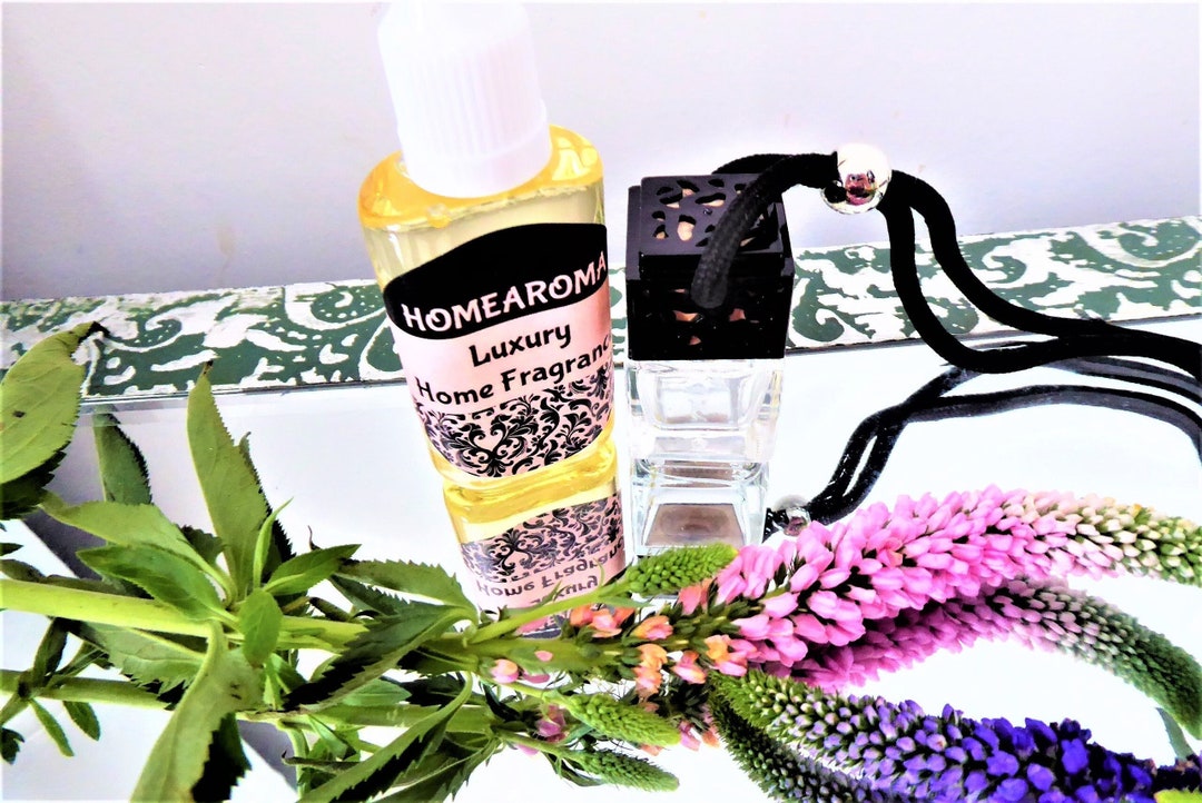 FRESH UNSTOPPABLES Inspired Car Freshener Black Hanging Etsy UK