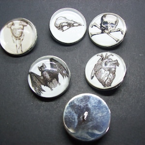 Könnte beinhalten: Sechs silberfarbene Knöpfe mit schwarz-weißen anatomischen Illustrationen. Die Knöpfe zeigen einen Totenkopf mit Knochenkreuz, ein Herz, eine Fledermaus, einen Vogelschädel und ein menschliches Skelett. Der sechste Knopf ist schlicht silberfarben.