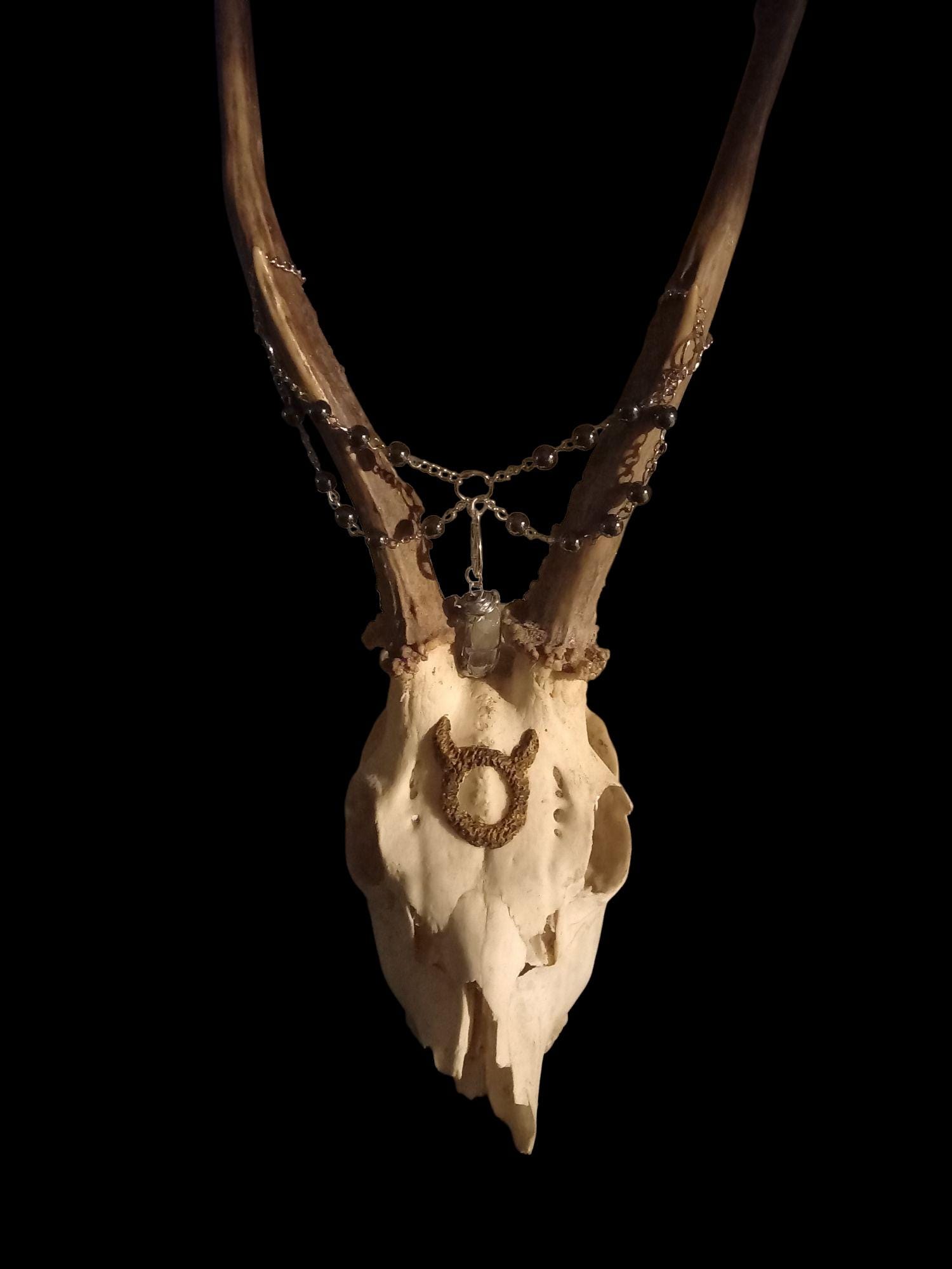 OOAK Unique Occult Satanic Pagan Altar Wiccan Large Deer Skull With ...