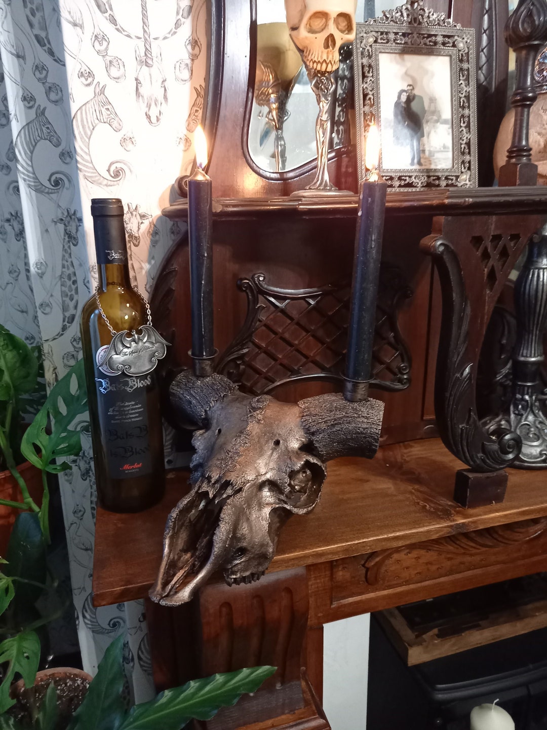 Succubus Curiosities Taxidermy Bergse Haai