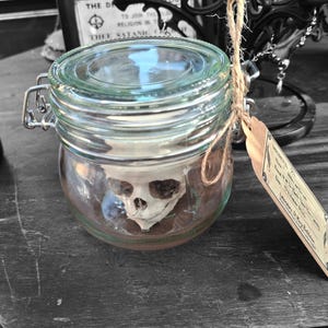 May include: A clear glass jar with a metal wire bail closure containing a small, off-white animal skull. A tan paper tag is tied to the jar with brown twine, featuring printed text that includes the words Specimen, Found, and Laboratory.