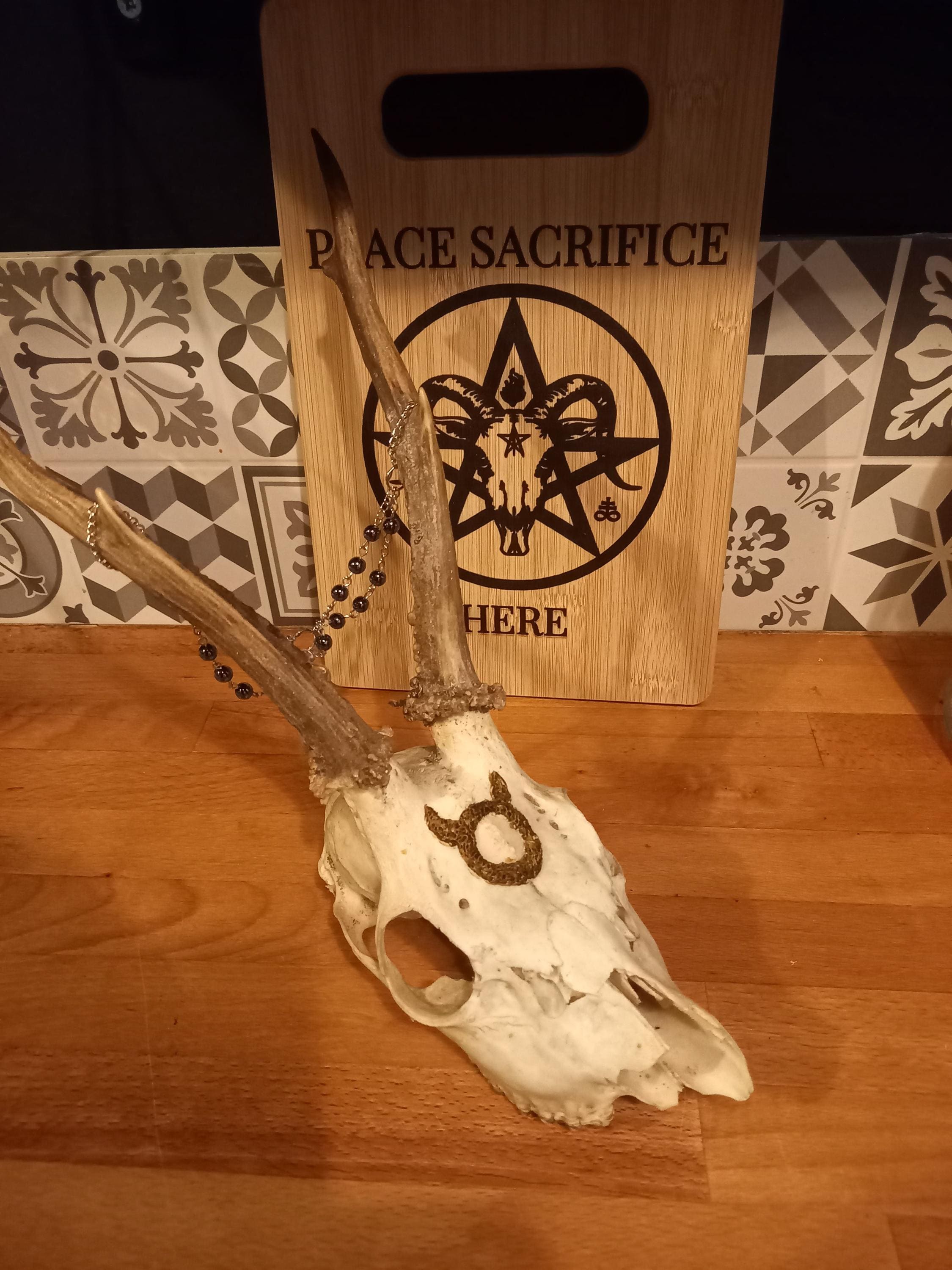 OOAK Unique Occult Satanic Pagan Altar Wiccan Large Deer Skull With ...