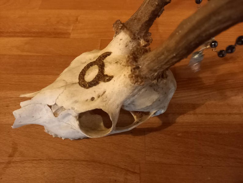 OOAK Unique Occult Satanic Pagan Altar Wiccan Large Deer Skull With ...