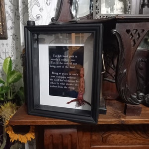 eigenaardigheid nieuwsgierigheid Goth Gothic heks heks hekserij occulte satanische "Hail Satan Demonic inverted Crucifix box frame" verouderde rode afwerking