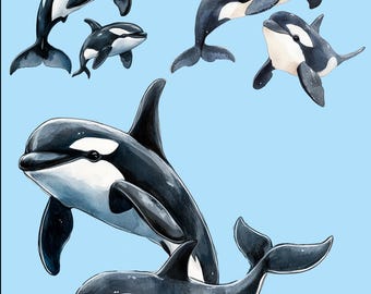 Watercolor Orca Clipart: Mom and Baby Whale PNG (Digital Download)