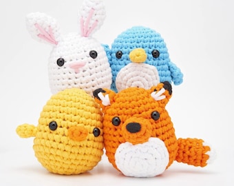 Crochet Kit For Beginners With Step-by-step Video Tutorial