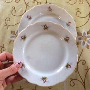 Vintage plates, Floral dinner plates,  Farmhouse porcelain, Granny Chic dish-ware, vintage porcelain white plates, Small roses pattern