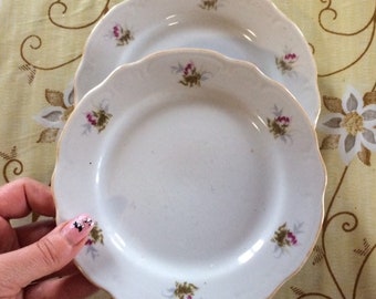 Vintage Teller, Blumen Teller, Bauernhaus Porzellan, Oma Chic Geschirr, Vintage Porzellan weiße Teller, kleine Rosen Muster