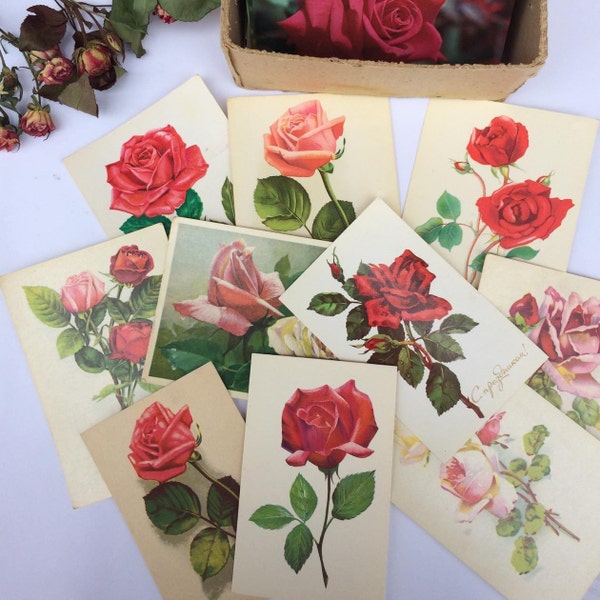 Retro roses postcards Vintage postcards Vintage roses postcards Times USSR cartoon illustrations Picture old rose 1 piece - 2 dollars