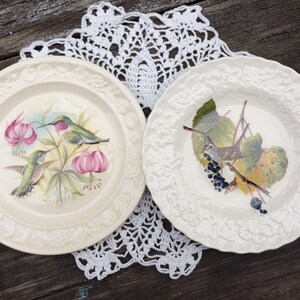 Easter table decor Plate large white dish old dish English  porcelain dish, ceramic dish with birds of paradise Hummingbird, American bird