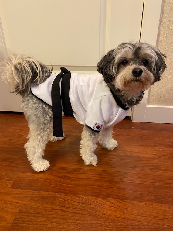 Pet Clothes Korean Flag Dog Shirt Taekwondo Martial Art Karate Black Belt Uniform Dog Pajamas Etsy Ireland