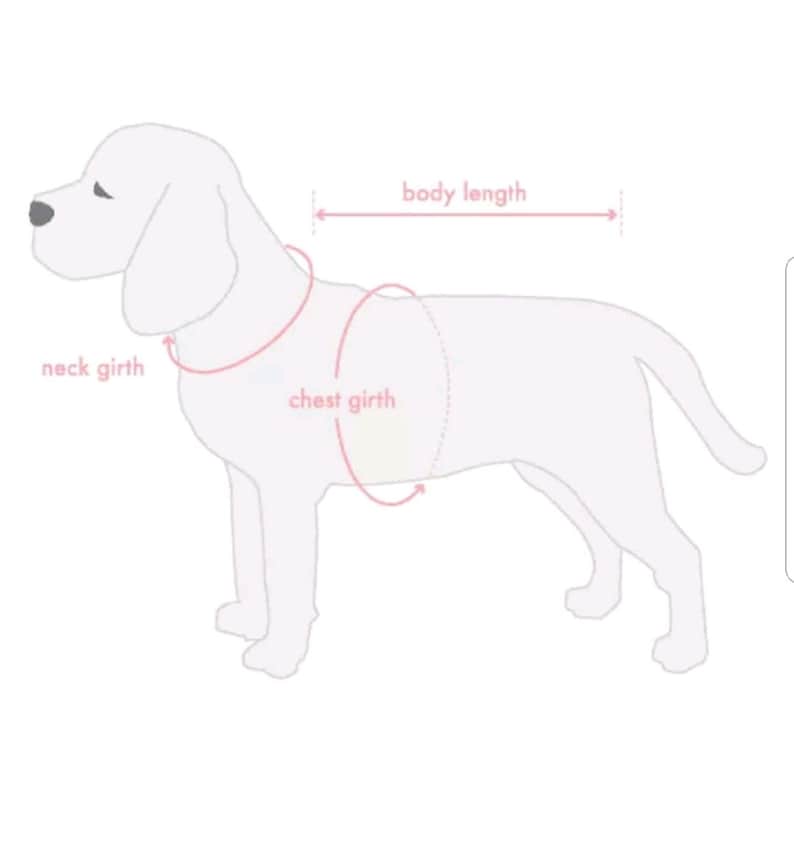 Pet Clothes Korean Flag Dog Shirt Taekwondo Martial Art Karate Etsy