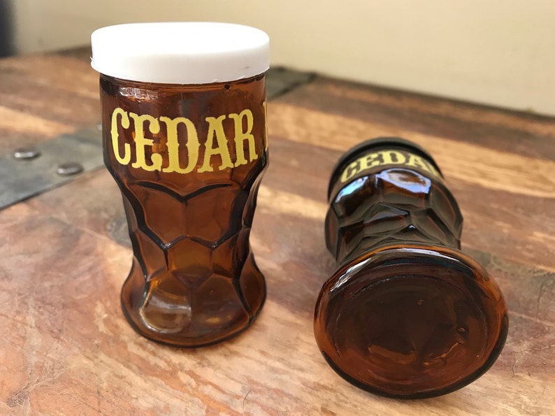 Vintage Cedar Point Salt and Pepper Shakers Souvenir
