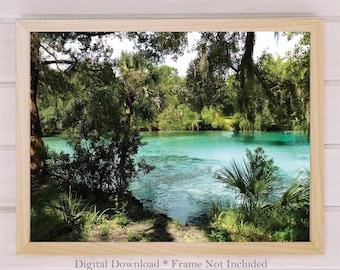 Silver Glen Springs, Nature Photography, Landscape Wall Art, Printable Digital Download, Tropical Water Photo