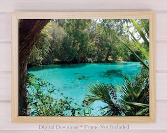 Silver Glen Springs Florida Landscape Photography, Tropical Wall Art (Digital Download)