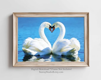 Swans Heart Wall Art, White Swans Kissing, Digital Download, Spring Decor, Printables
