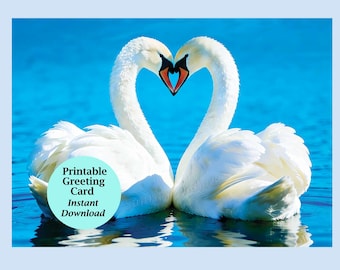 Swan Heart Greeting Card, 7x5, White Swans Kissing, Romantic Card, Printable Art, Digital Download