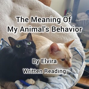 May include: A black cat with green eyes and a cream-colored cat are nestled together. The image has text that reads "The Meaning Of My Animal's Behavior By Elvira Written Reading."