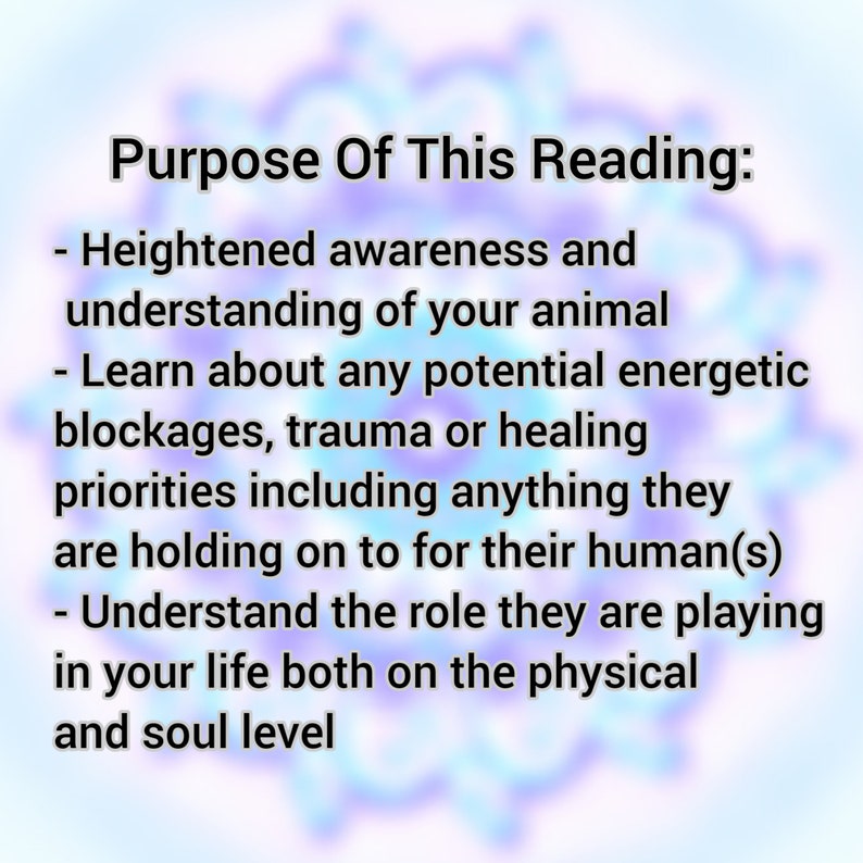 Intuitive Energy Reading Animals & Pets Animal Communication Pet Reading Pet Psychic Reading Animal Medium Audio Download 24-48hrs image 3