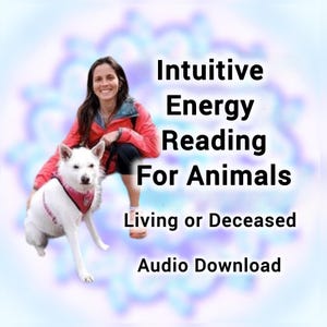 May include: A white dog wearing a pink harness sits next to a person in a red jacket. The text reads: Intuitive Energy Reading For Animals, Living or Deceased, Audio Download. The background features a soft, blurred blue and purple mandala.