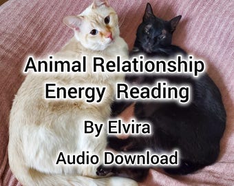 Animal Relationship Energy Reading, Animal Communication, Pet Psychic (Audio Download)