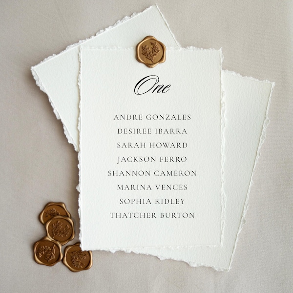 Deckled Edge Seating Chart Cards for Mirror, Alphabetical Table Assignment Cards for Wedding | Willow Collection