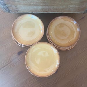 Vintage Melitta Ceracron Plate Set: Friesland Ammerland Glazed Ceramic