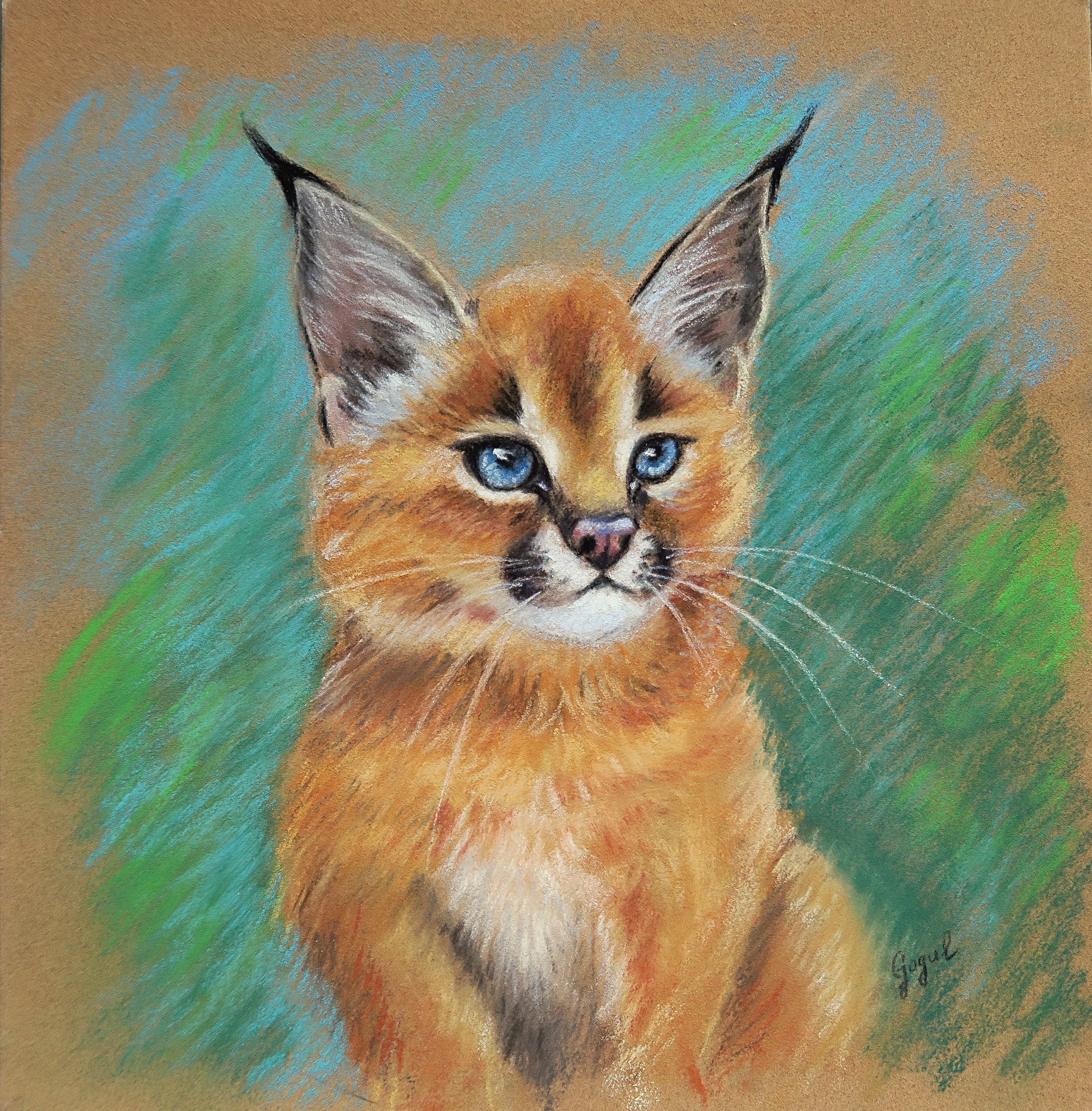 Caracal Cat One | Art Board Print