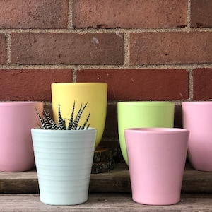 Puede incluir: Cinco macetas de cerámica en varios colores pastel, incluyendo rosa, amarillo y verde claro. Una maceta tiene una pequeña planta suculenta dentro.
