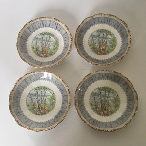Delightful Vintage Silver Birch (4) Saucers  by Royal Albert England