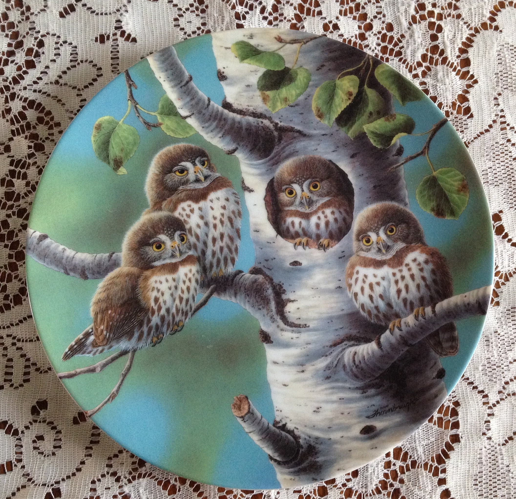 Northern Pygmy Owls decorative Plate 3rd issue in The Stately Owls Collection 1990