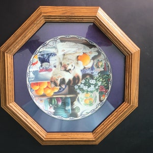 May include: A framed decorative plate with a blue and white border. The plate features a colourful illustration of two kittens playing with oranges and other fruit. The plate is set against a purple background.