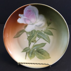 HC Royal Bavaria Porcelain 7 inch decorative Wall Plate with White Rose