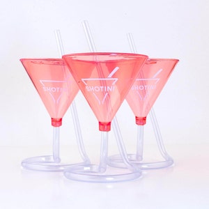 Shotini Shot Glass - Pour Your Shot, Pour Your Chaser, and Shotini - Set of 2