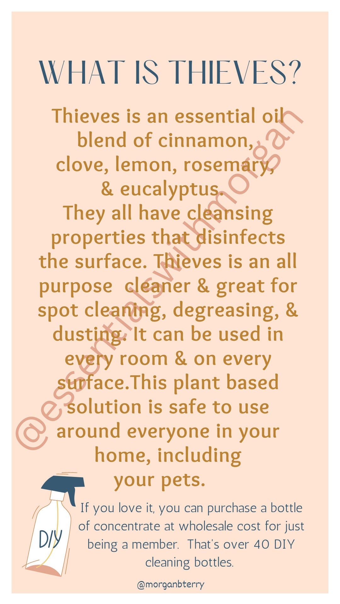 What is Thieves Informational Card Etsy