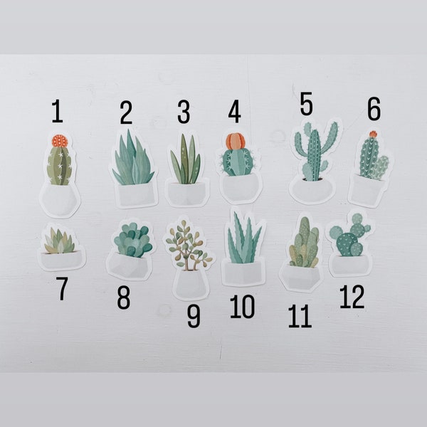 Potted Succulents & Cactus Stickers