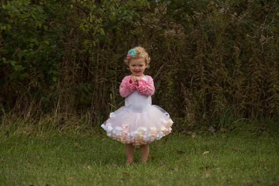 Little Girl Tutu Skirt, Baby Girl Photography Clothes for Girls, Princess Dress for Toddler Girl Outfits for Pictures, Newborn - Size12 T26A Il_570xn