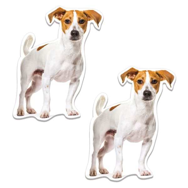 Jack Russell Car Decals Etsy UK