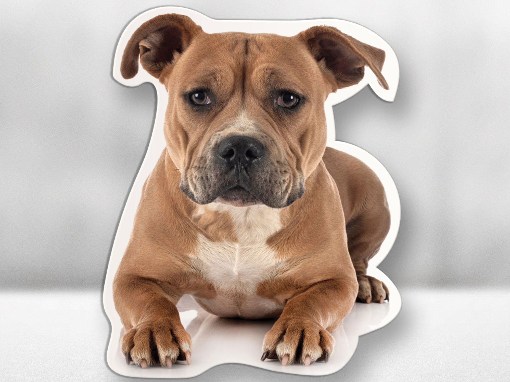 Sticker de Staffordshire Bull Terrier Arte vectorial muy detallado con