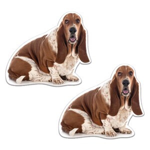 2x Basset Hound Hund Bedruckt Auto Fenster Bumper Laptop Vinyl Aufkleber Aufkleber Grafik Lustig