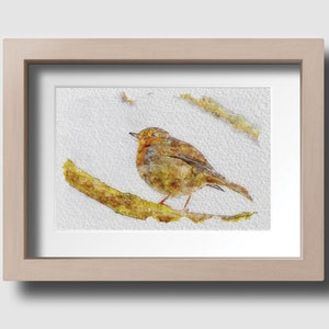 Robin Red Breast Wildlife British Bird Watercolour Sketch Home Wall Art Print Picture Poster Décor Unframed Available in A3, A4, A5